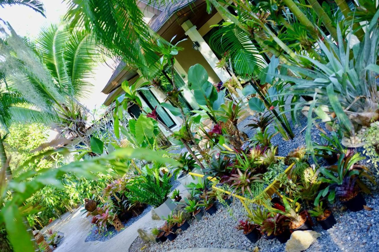 The Nature House Aonang Krabi Thailand Ao Nang Екстер'єр фото