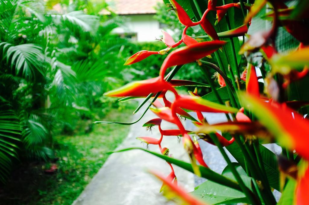 The Nature House Aonang Krabi Thailand Ao Nang Екстер'єр фото